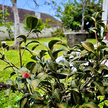 بيت للعطل Casa Do