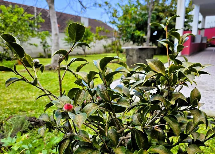 בית נופש Casa Do